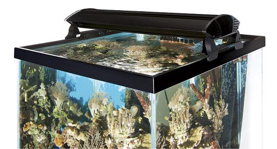 T5 on sale aquarium hood